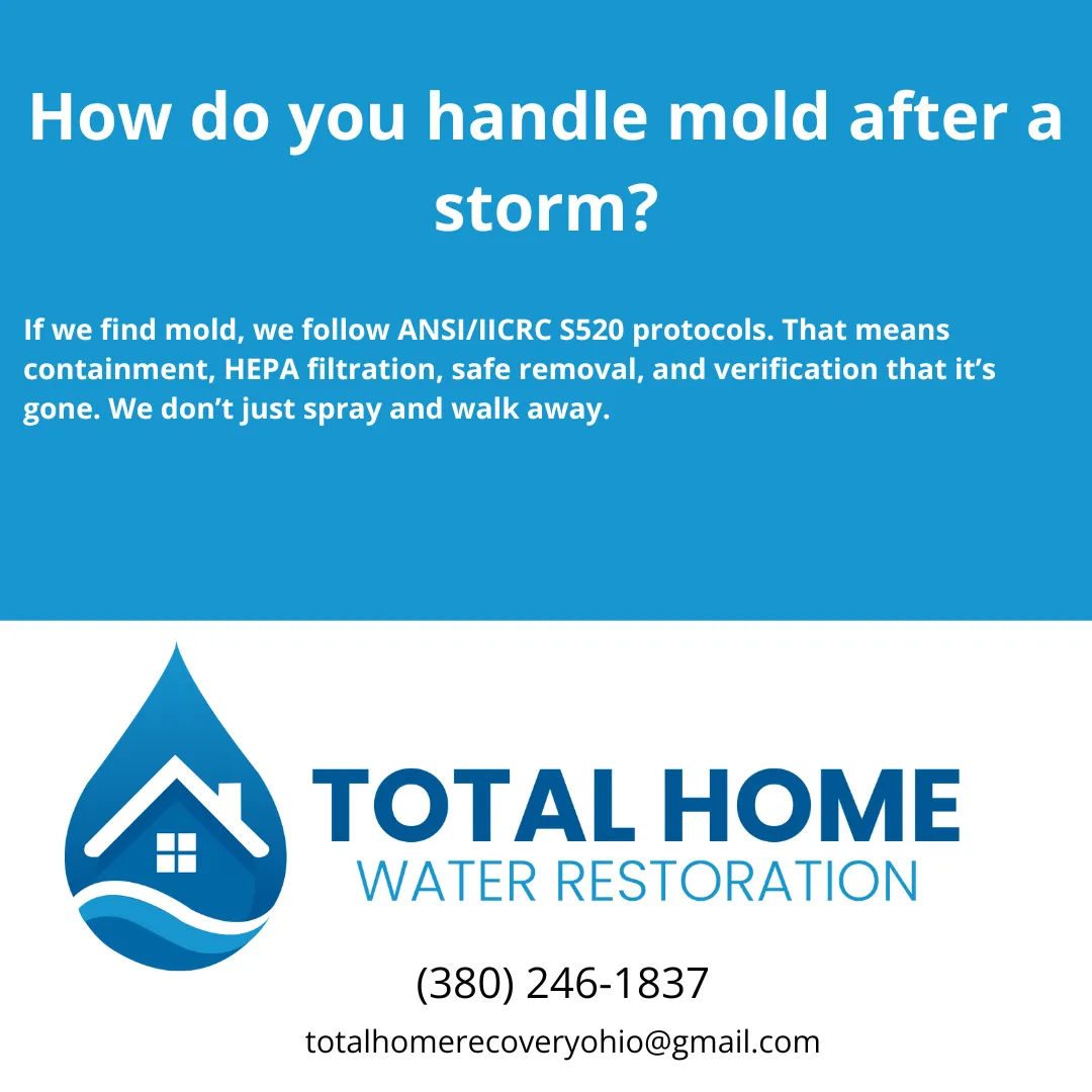 How do you handle mold after a storm?