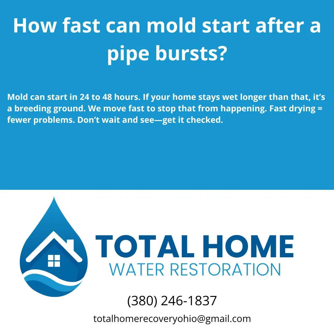 Burst pipe in your home? Mold can start growing in just 24 to 48 hours. Learn why fast cleanup is critical and how Total Home Water Restoration protects your home in Grove City and beyond.
