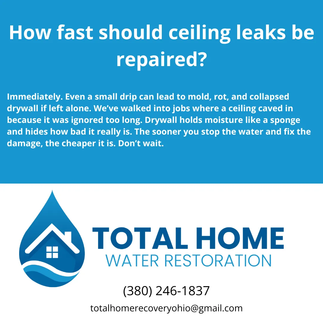 Even a small ceiling leak can turn into a costly repair fast. Learn why immediate drywall and ceiling repair is critical—and what happens if you wait.