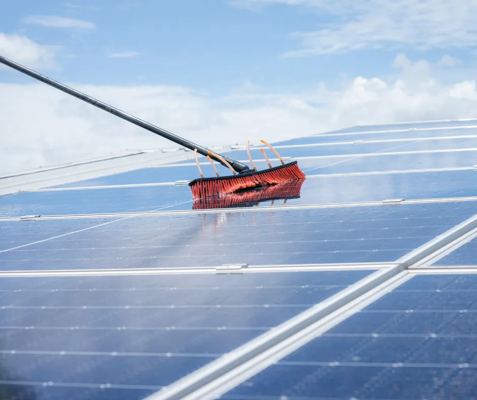Solar Panel Cleaning
