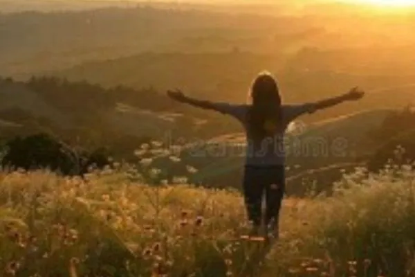 Interrupting the Pattern: The Pause That Heals