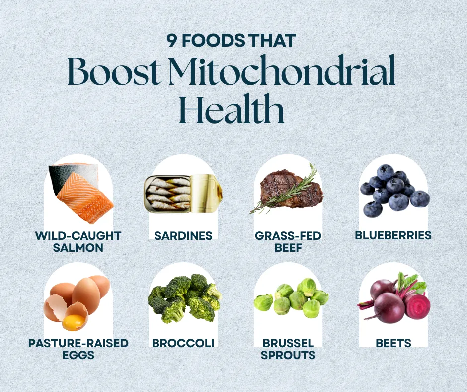 Fuel Your Powerhouse: 9 Foods That Boost Mitochondrial Health