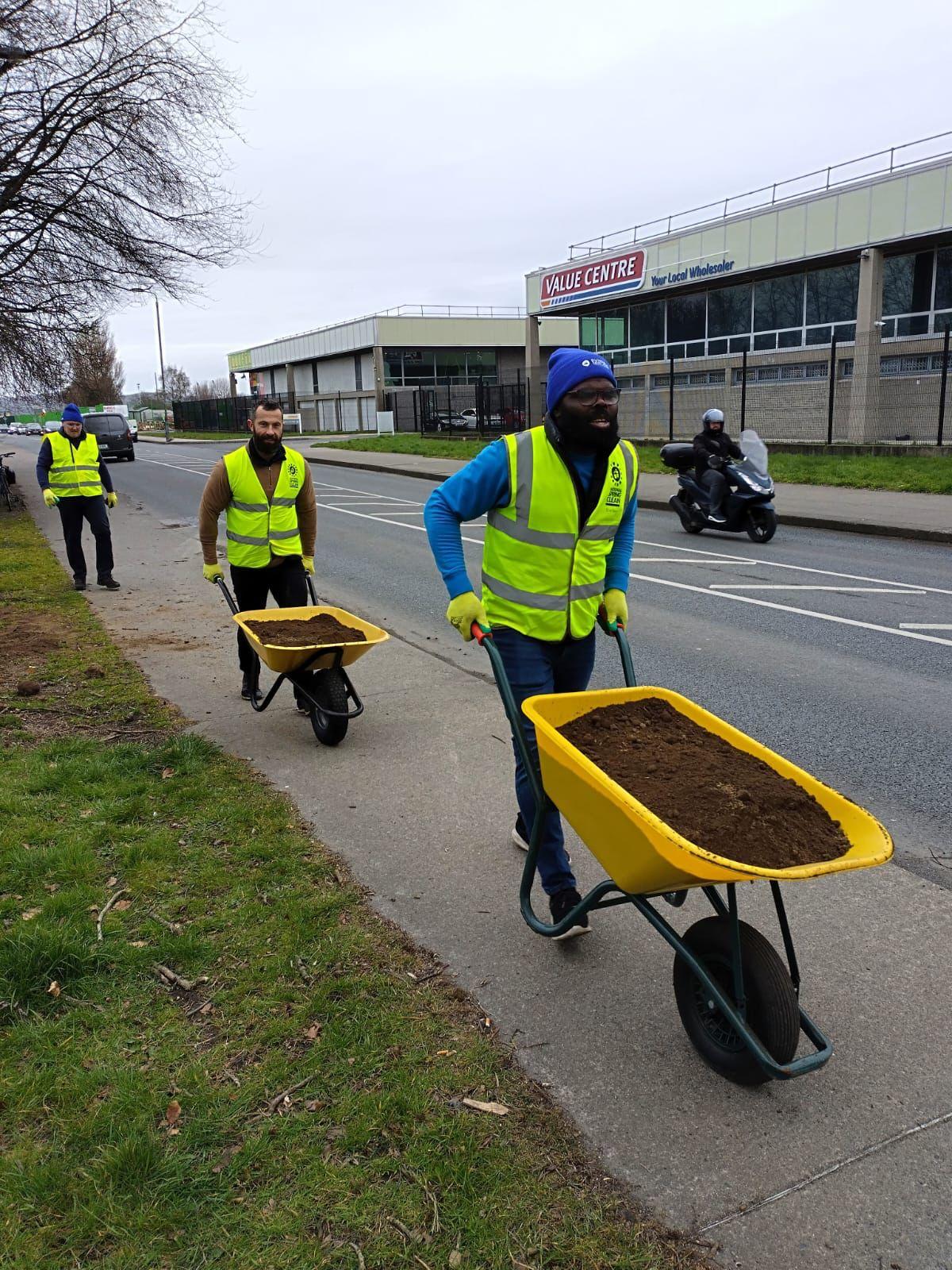 TidyTowns Wildflower Beds