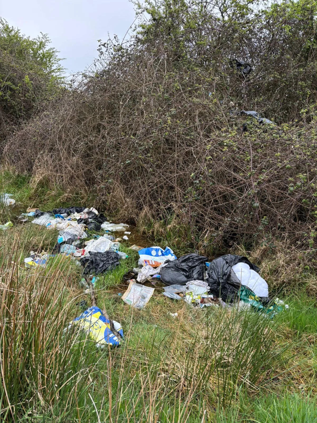 Illegal Dumping Must be Tackled