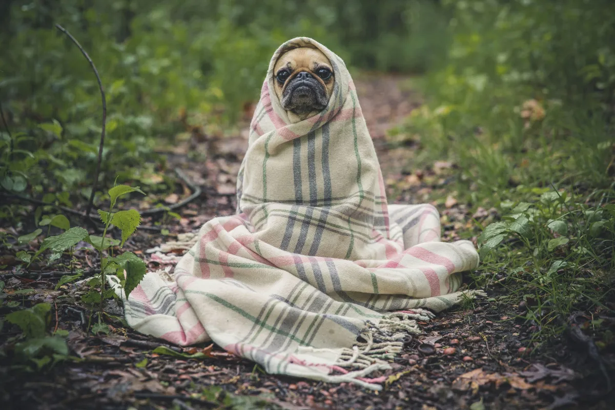 Cold Email Templates for High-Impact Prospecting