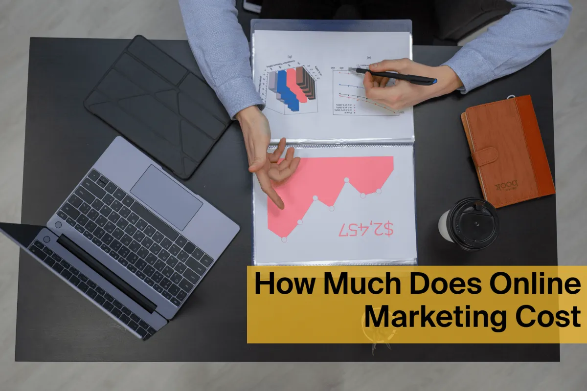 How much does online marketing cost