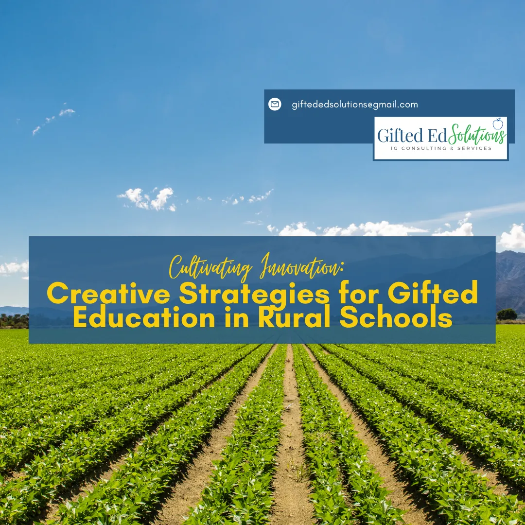 Cultivating Innovation: Creative Strategies for Gifted Education in Rural Schools