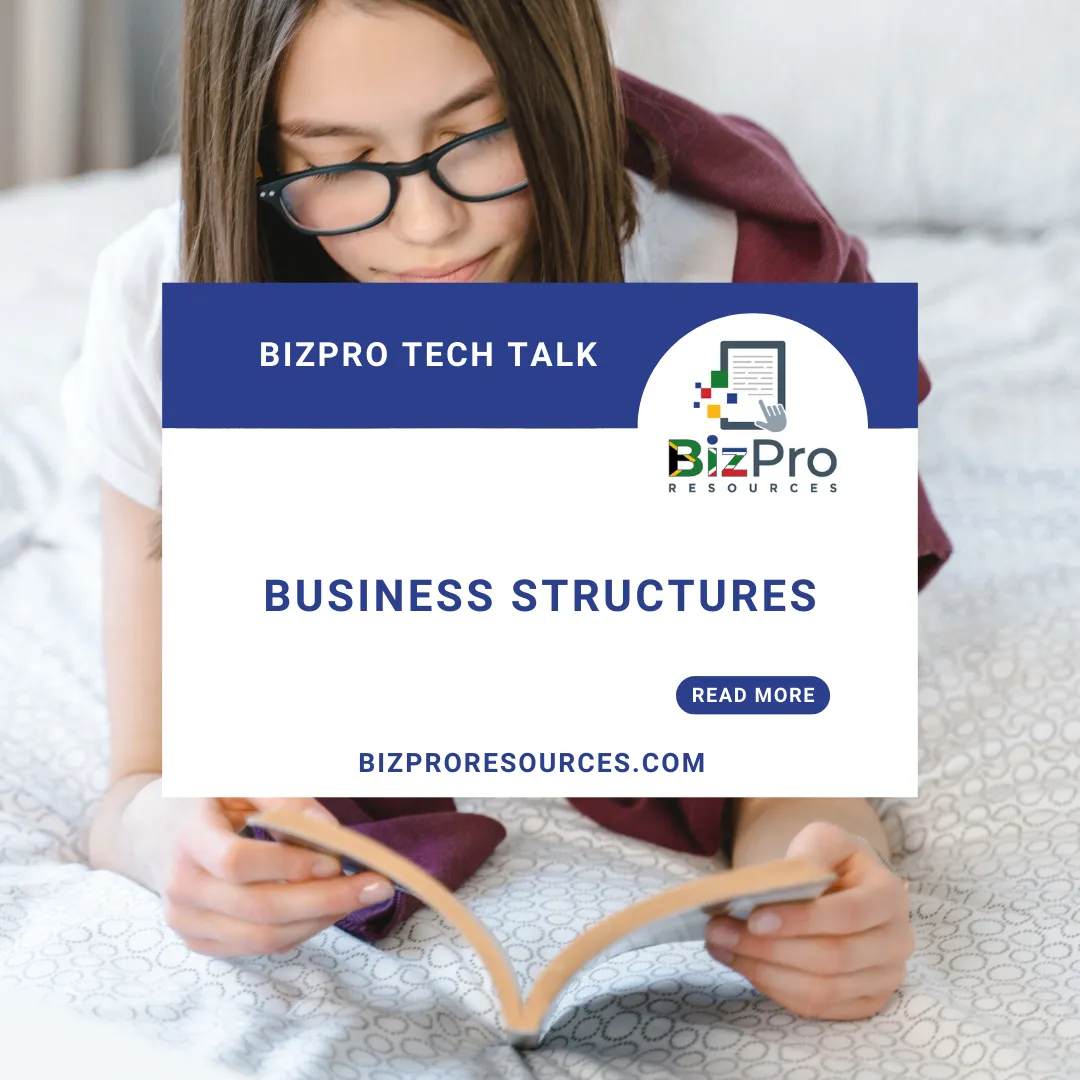 Business Structures: An Overview for South African Small Business Owners