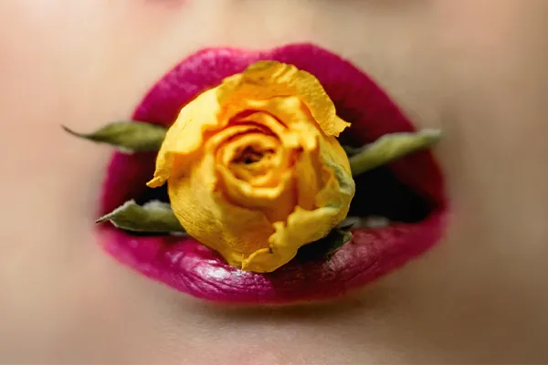 The Path to Self-Realisation Through Darkness