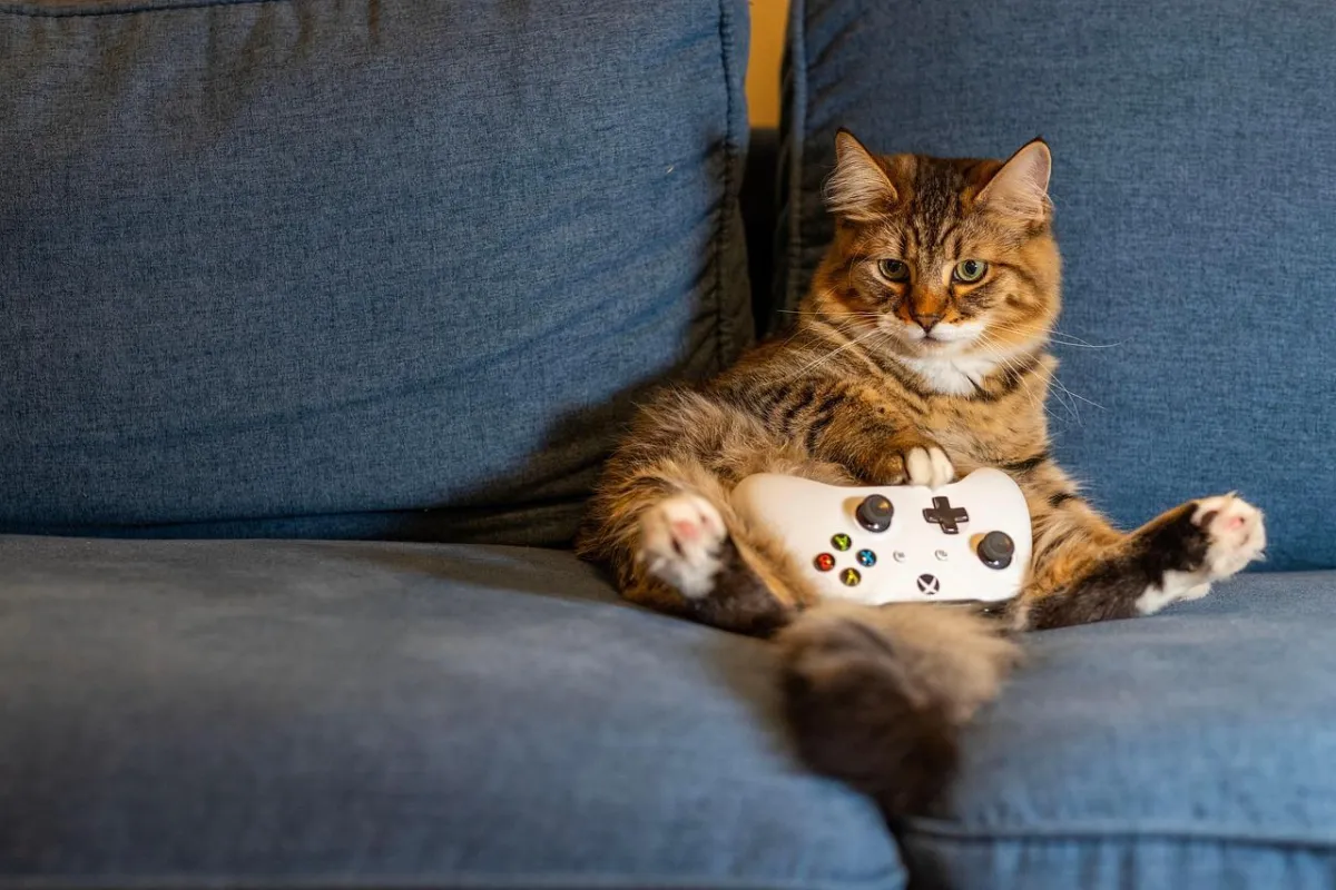 hyped games