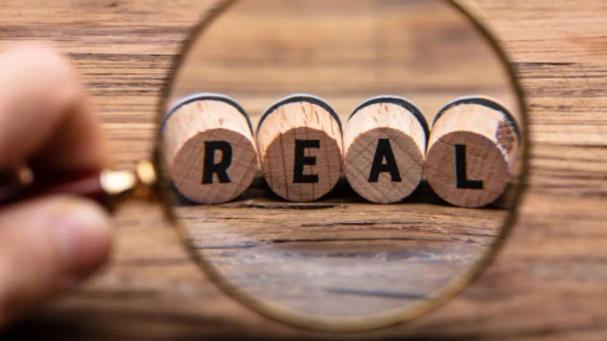Seeing the Real Picture