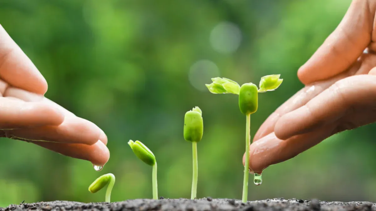 Developing Every Believer