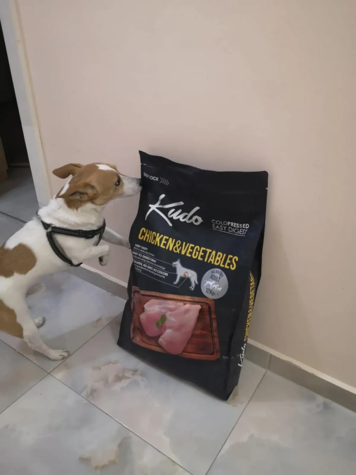 henry-jack-russel-kudo-bag