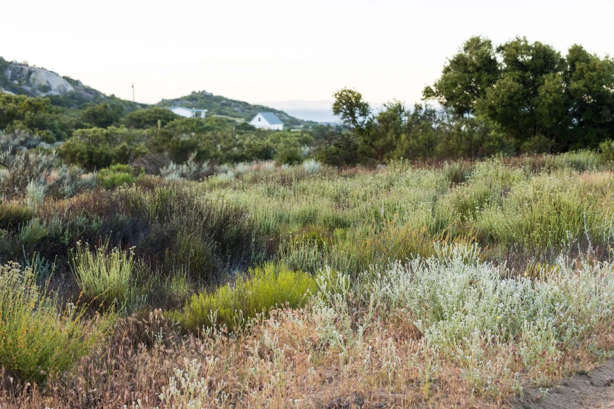 Camp sites for Camping in Campo | Calkins Family Ranch Camping