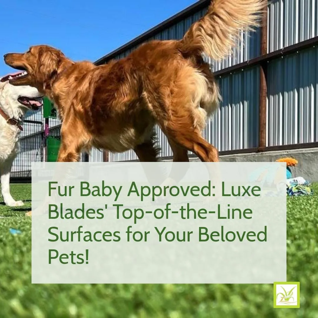 Pet Grass