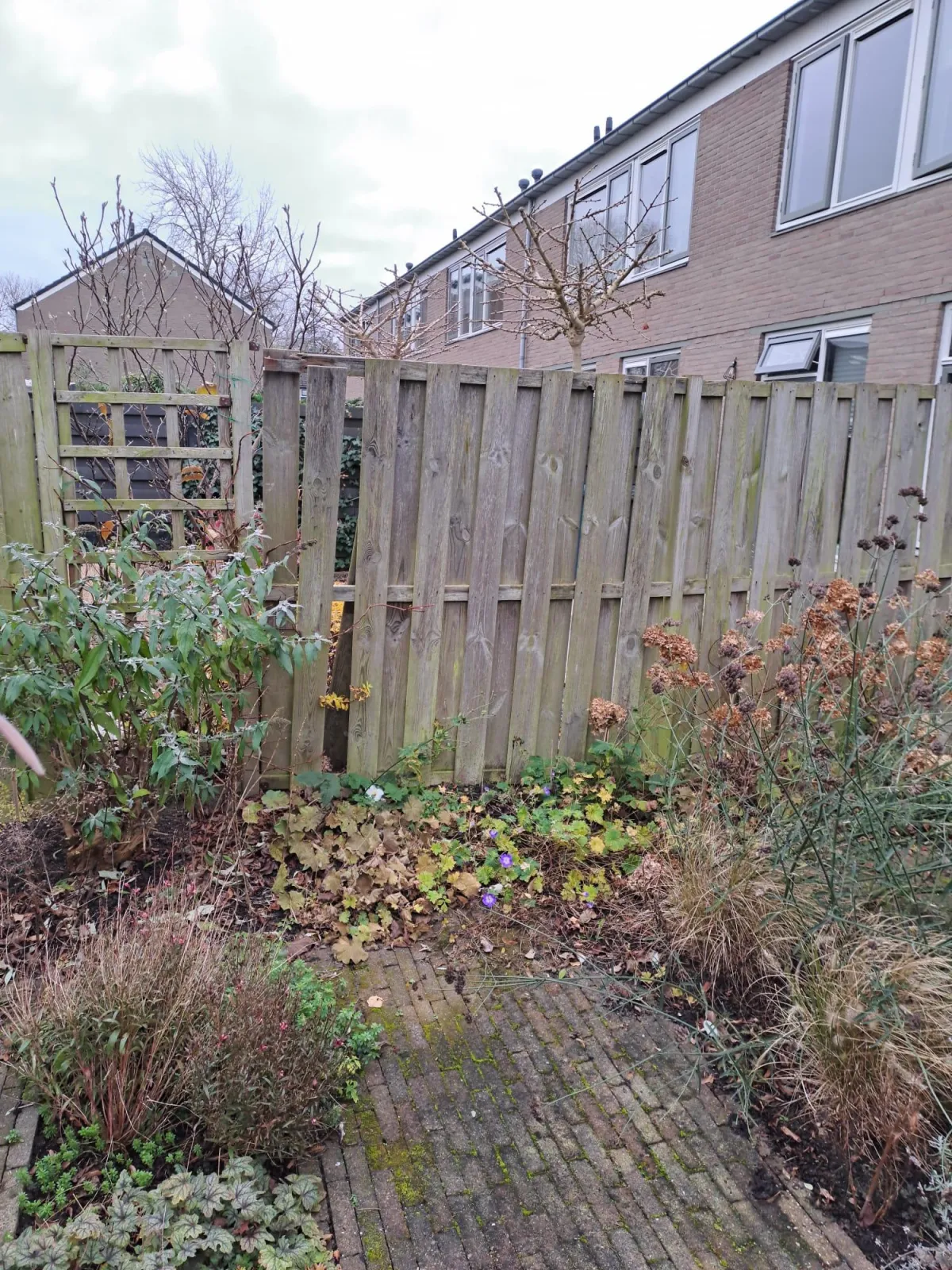 schuurtje montage Klus & Bestratingsbedrijf Engelbart