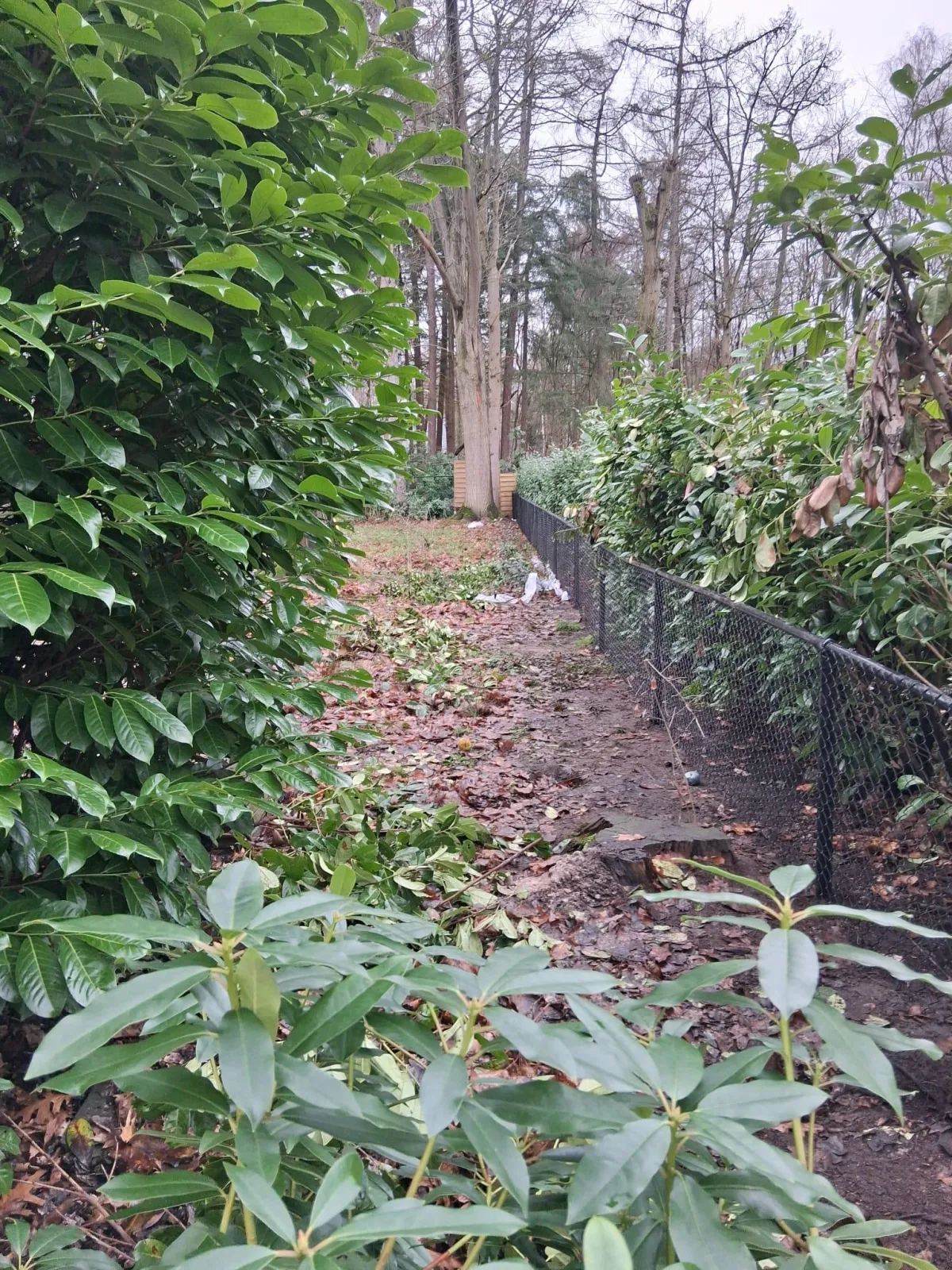 schuurtje montage Klus & Bestratingsbedrijf Engelbart