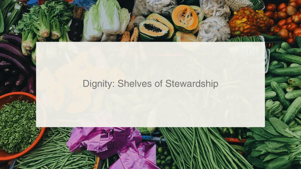 6-DIGNITY: Shelves of Stewardship