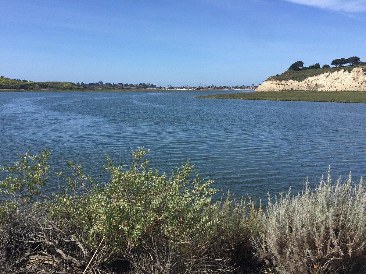 Discover Nature's Sanctuary at Upper Newport Bay Nature Preserve