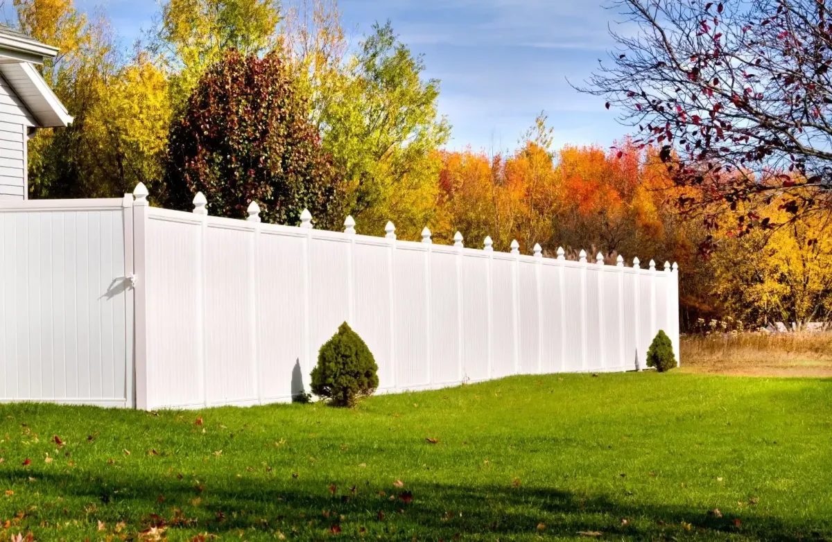 Carrollton backyard design