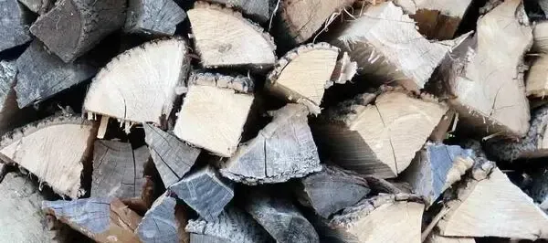 The Best Firewood For Your Stove, Insert Or Fireplace