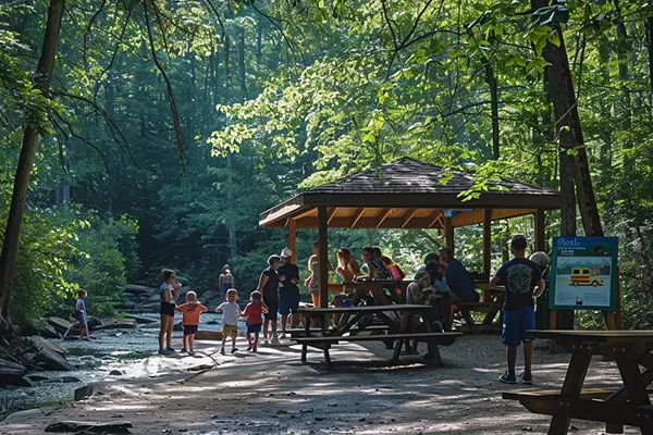 Discover Family Attractions in Blue Ridge Georgia for Adventures