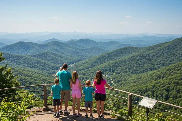 Exploring Views vs Attractions