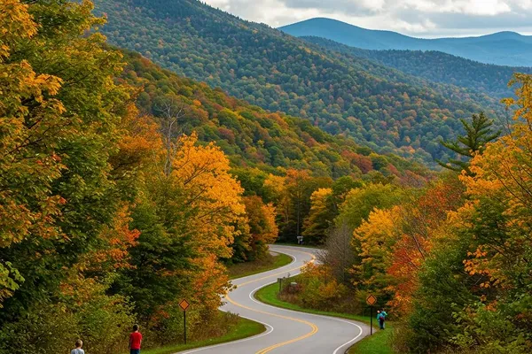 Scenic Drives You Must Experience