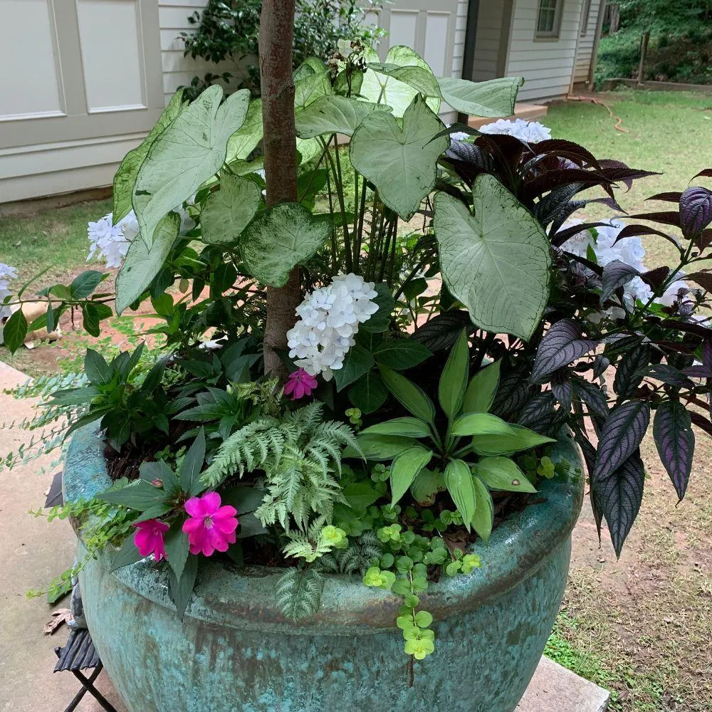 landscape-services-near-me