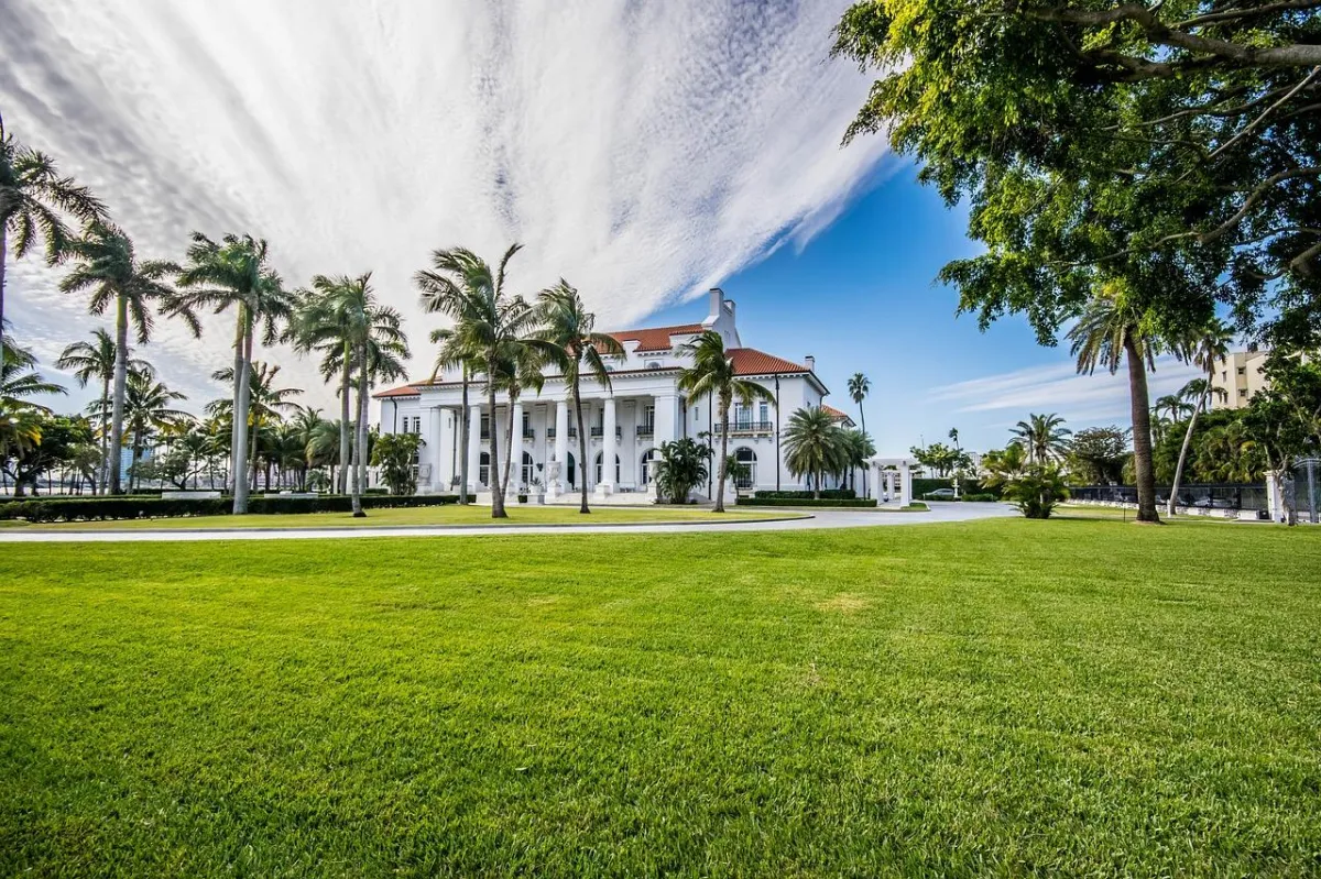 How to Grow a Green Yard: An Introduction to Lawn Care