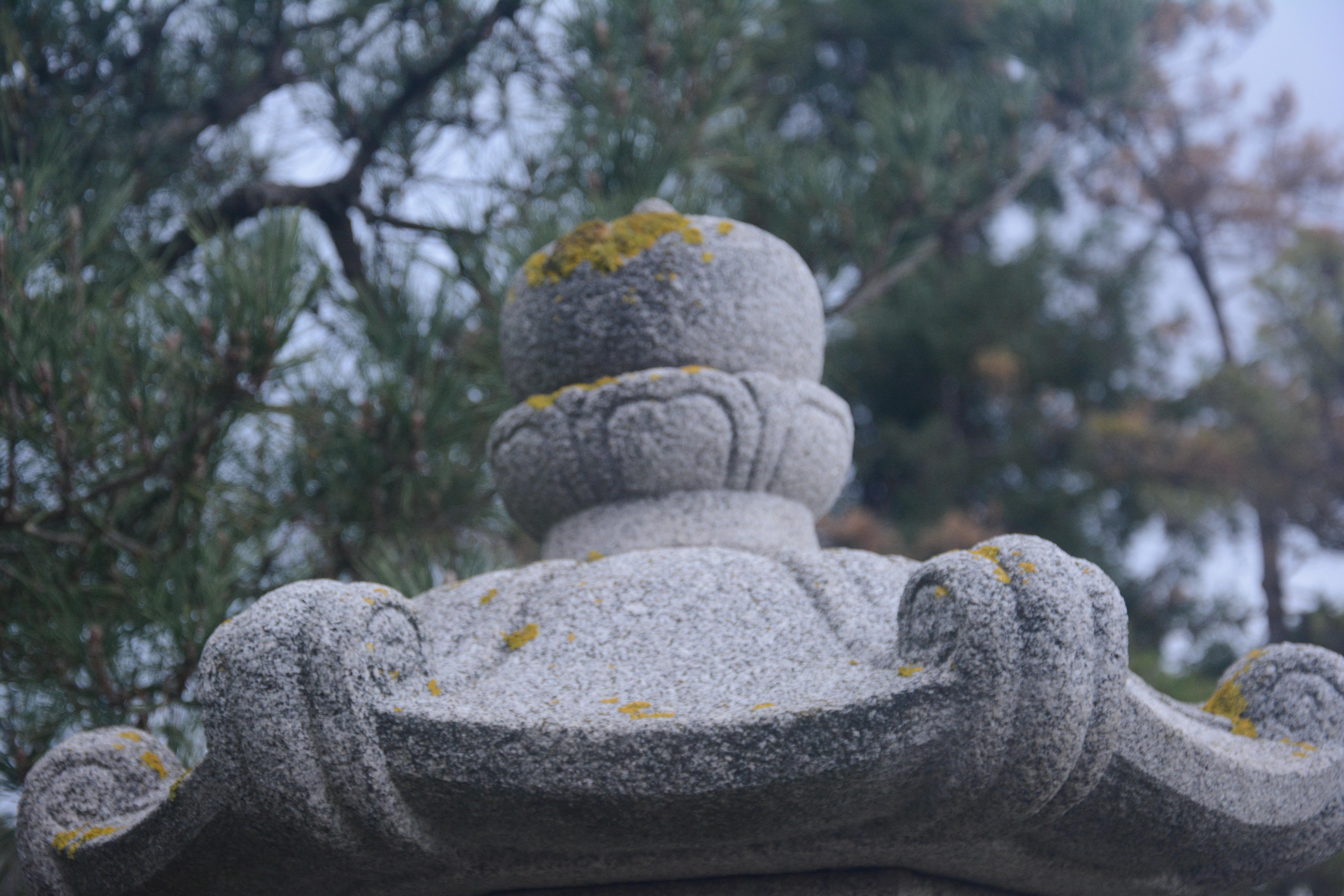 Kansha Suru: The Powerful Practice of Gratitude