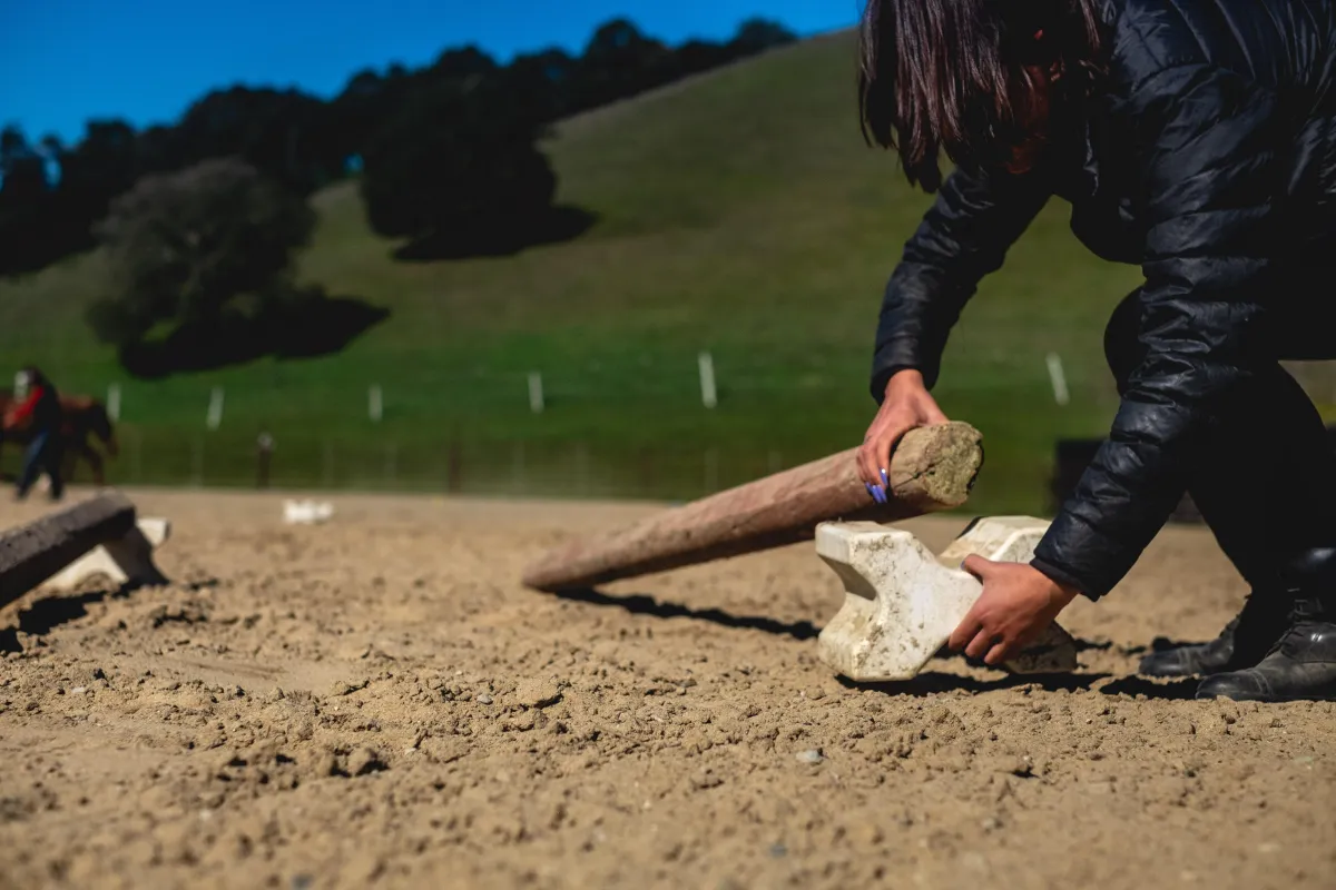 Ground Poles: Riding versus Groundwork Routines