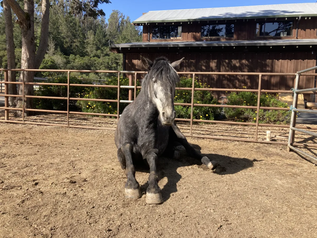 What Does Focus Have to do with Fitness?