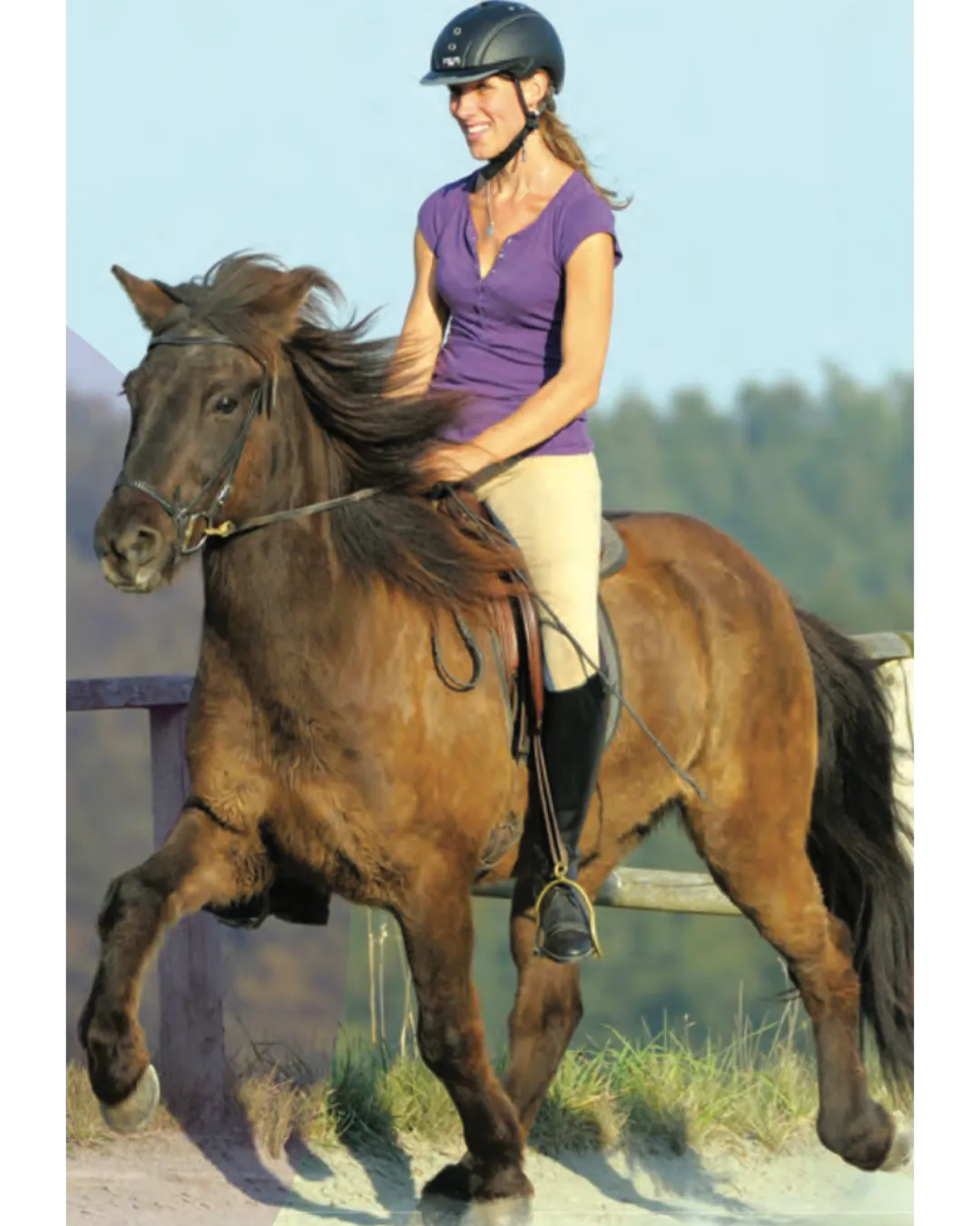 Dressage for Gaited Horses: Unlocking Natural Movement