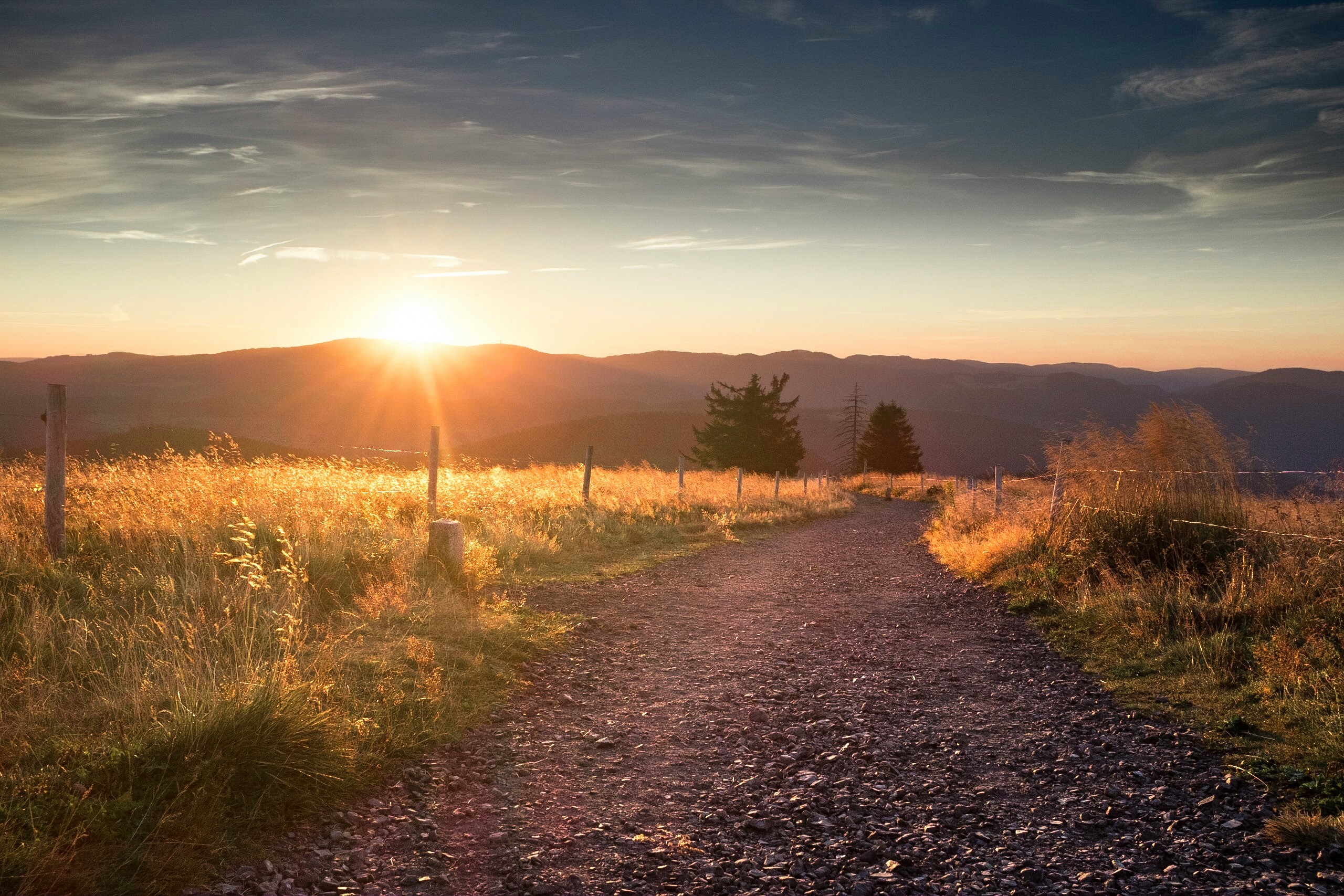 family, parenting, mindset, personal growth