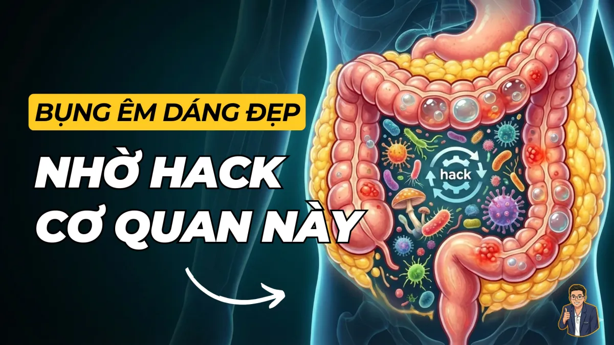 Cải thiện táo bón & đốt mỡ tự nhiên bằng hack hệ vi sinh vật | Lê Công Hiệp