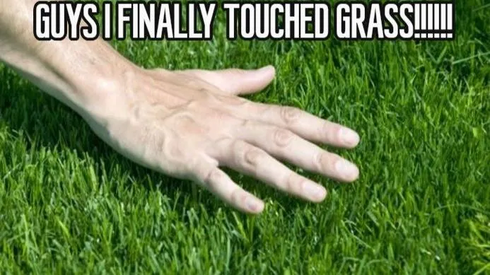 The Grass Isn’t Greener—You’re Just Undercharging for the Lawn