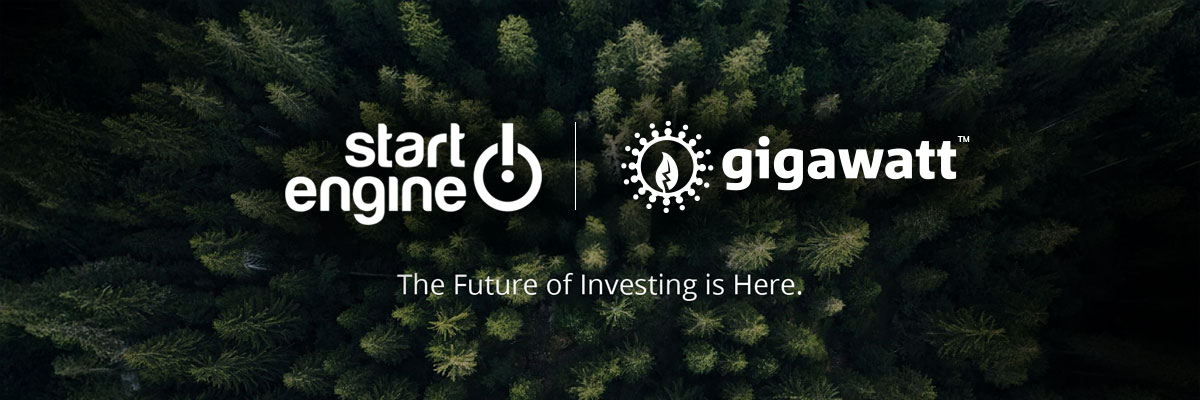 Reg CF & StartEngine Guide: How It Works + What to Expect