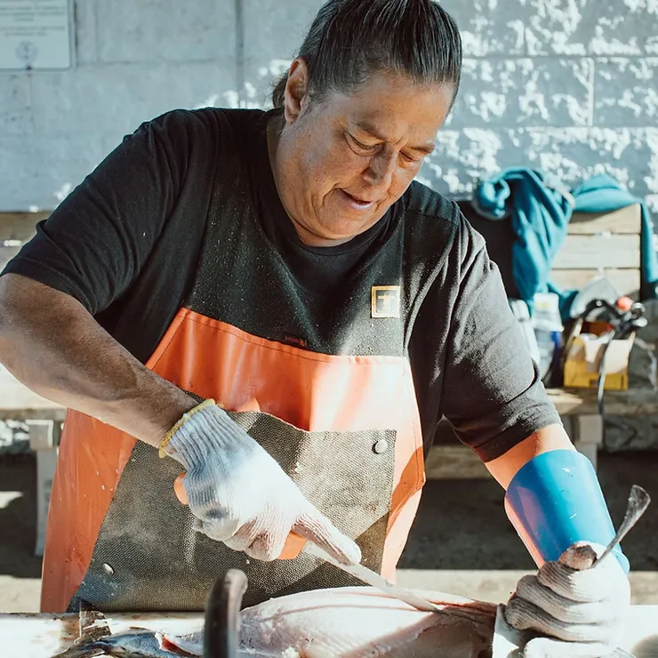Freshly caught fish being filleted on a dock in Newport, Oregon, after a local fishing charter trip
