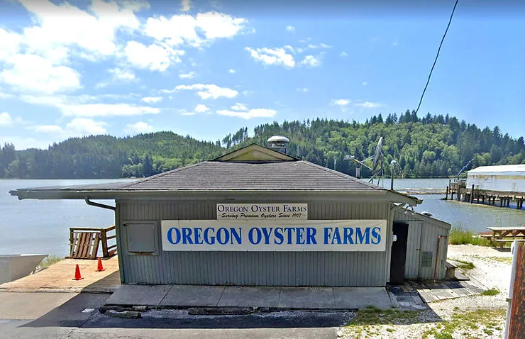 Oregon Oyster Farms
