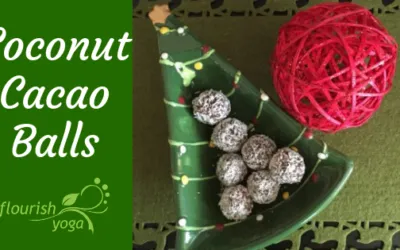 Holiday Treats – Coconut Cacao Ball Recipe
