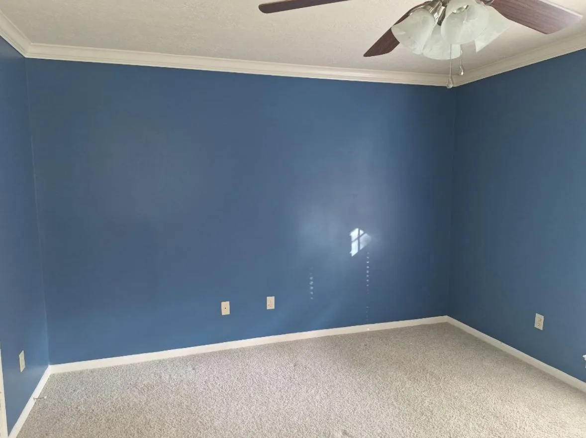 Do I need a license to be a painter in Texas?