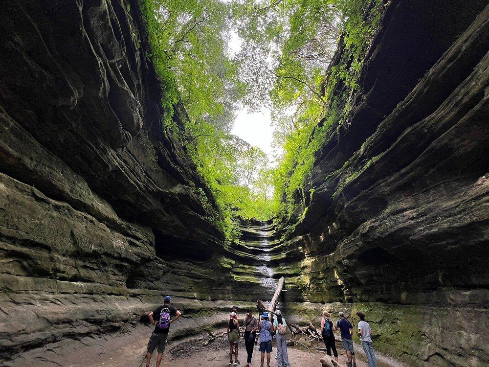 🚗💦 Splash, Hike & Play: Epic Family Weekends Getaways Near Chicago