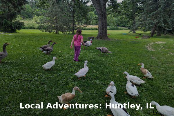 Young girl exploring a grassy campsite with ducks and geese at Escape to Nature in Huntley, Illinois