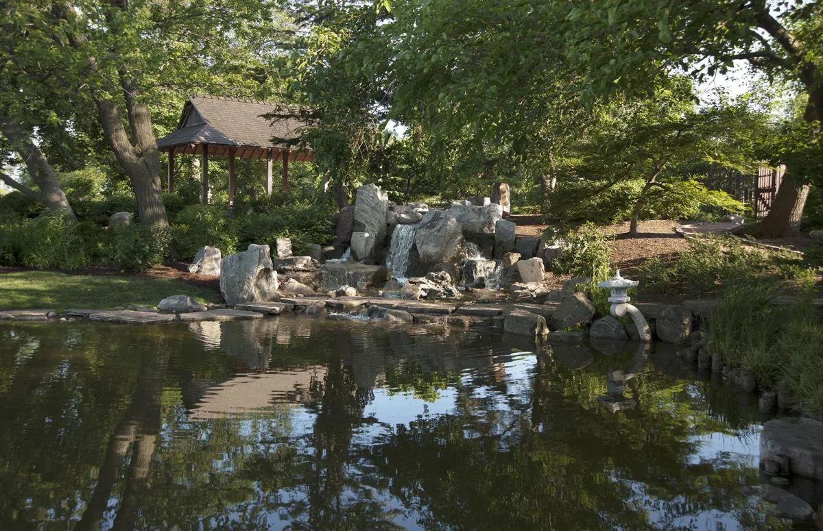 🌸 Cherry Blossoms & City Buzz: Discover the Magic of Osaka Garden 