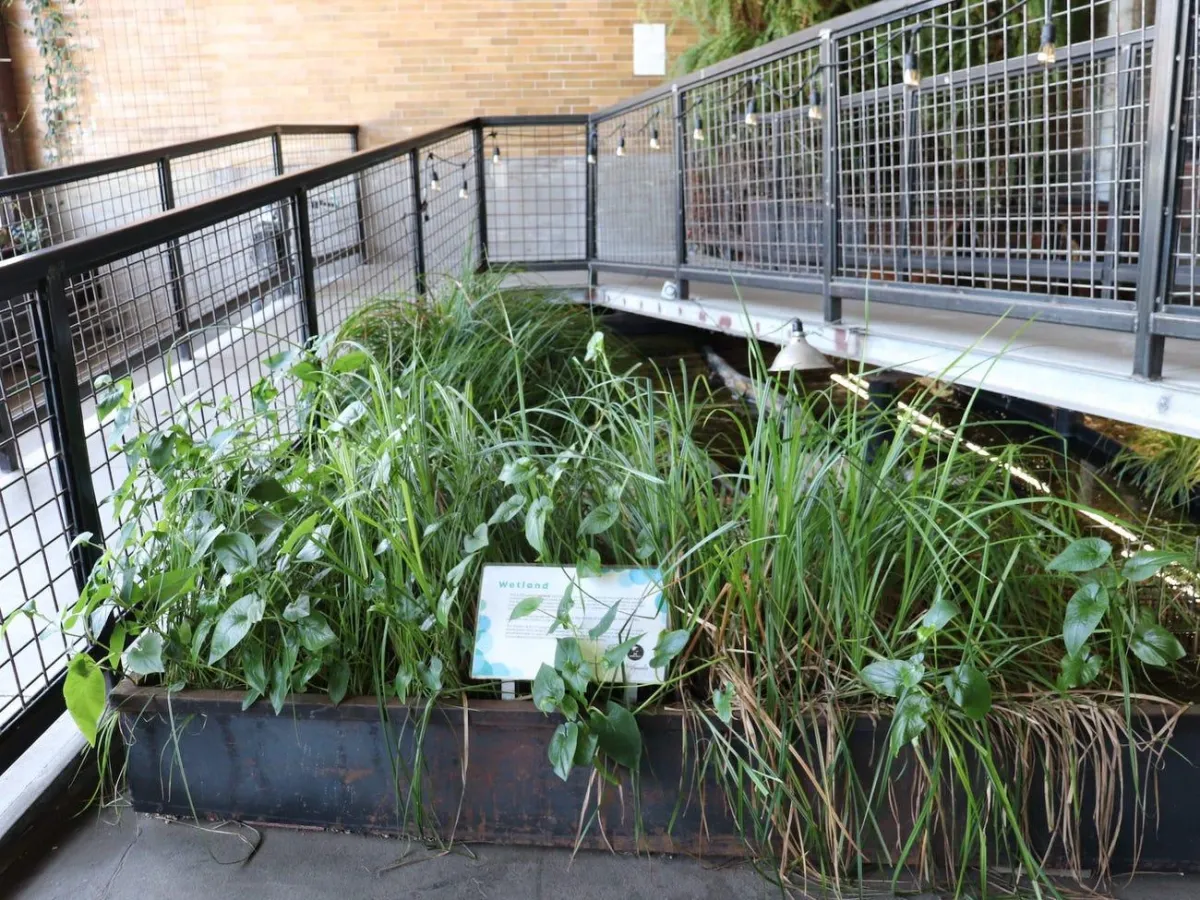 The Plant: Chicago’s Coolest Eco-Hub Hidden in Back of the Yards