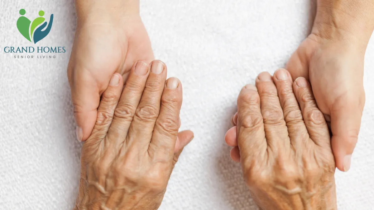 A Guide to Private Homes for Elderly Care vs. Large Communities