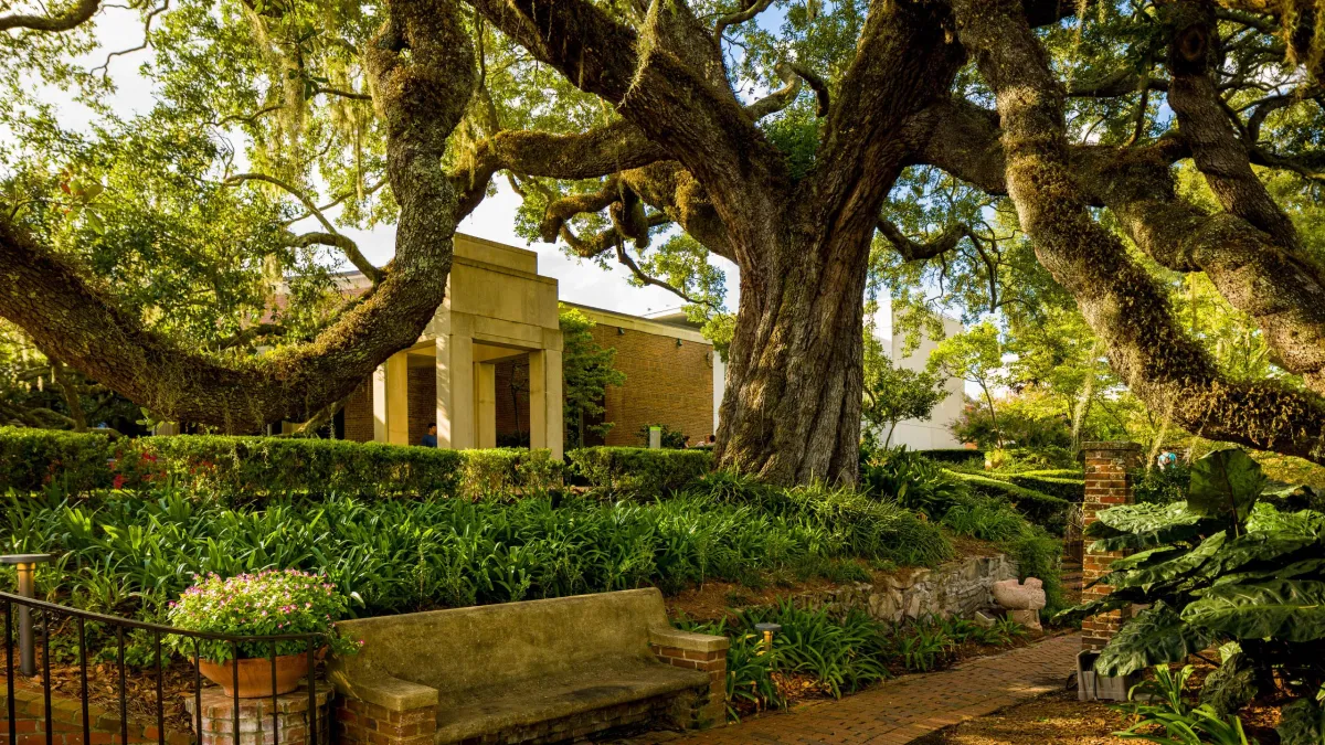 Discover Art and Nature at the Cummer Museum of Art & Gardens – RevTek Rentals - Jacksonville