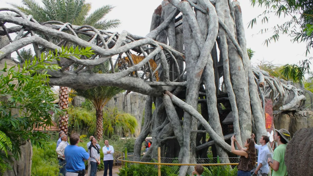 Jacksonville Zoo and Gardens – Your Ultimate Wildlife Adventure in Jacksonville, FL! (RevTek Rentals - Jacksonville, FL)