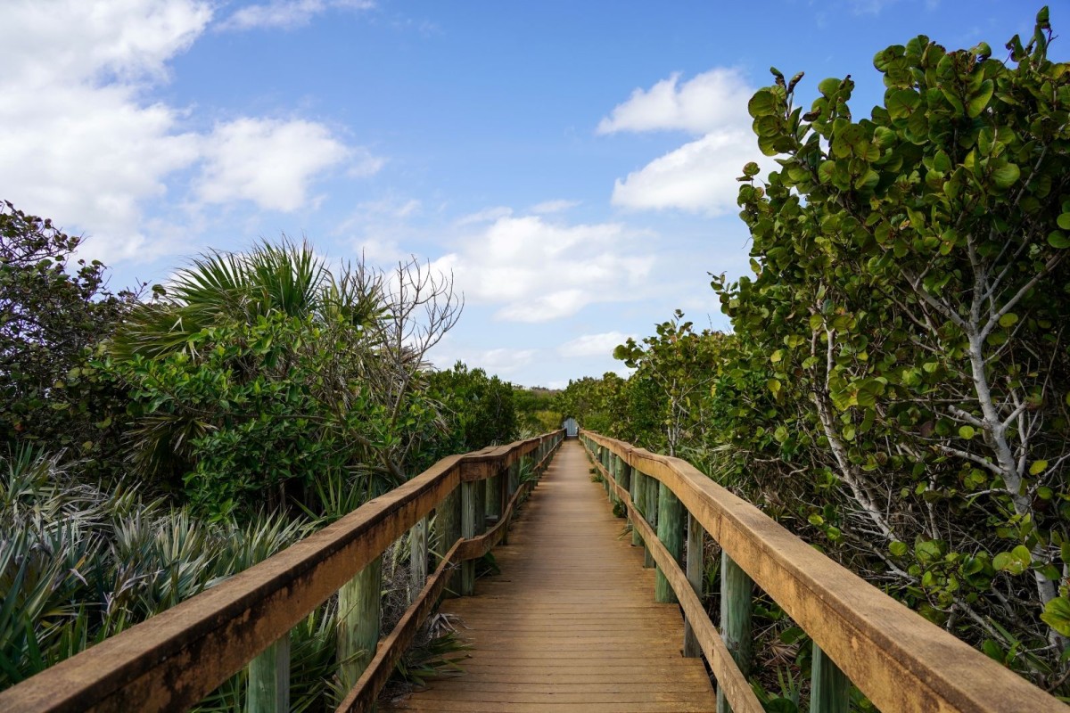 🌴 Explore the Best of Jacksonville’s Coast at Kathryn Abbey Hanna Park – RevTek Rentals, Jacksonville, FL